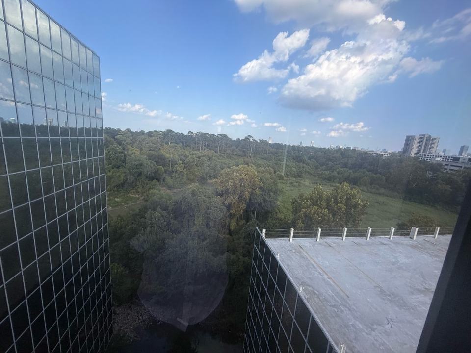 View from Medai Digital's seventh-floor Houston office across the Memorial Park tree canopy toward the city skyline