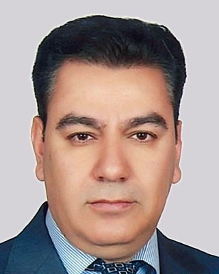 Saeid Nemati, Chief Executive Officer & Founder at Royal Windoor US